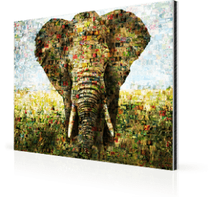 Fotomosaik Alu Elefant