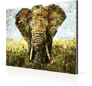 Fotomosaik Alu Elefant